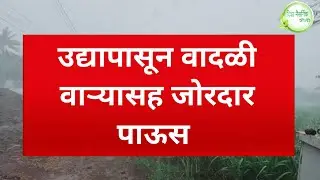 IMD rain alert उद्यापासून वादळी वाऱ्यासह पाऊस विजांचा कडकडासह पाऊस big breaking news