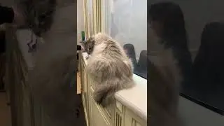 Когда мама попросила постоять в очереди)