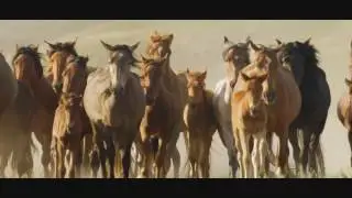 Моя страна,моя гордость   Казахстан  Самый красивый ролик,который я видела