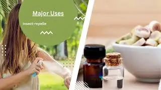 Give Your Skin and Hair the goodness of Citronella Essential Oil || Uses and Benefits