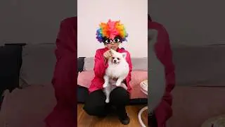 Don’t challenge jason!#nico #dog #funny #smartnico #cute