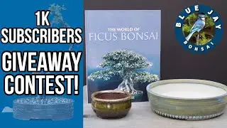 One Thousand Subscriber Special & Giveaway Contest!