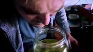 The Perverted Putrid Pickle