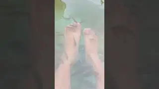Terapi Ikan Rawa Gede Jonggol