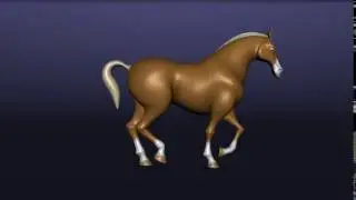 Horse anim looping run
