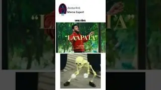 King | Laapata | song vibes | Meme Expert | Doctor 4n6