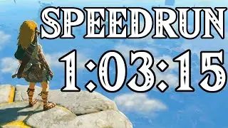 Tears of the Kingdom Any% Speedrun in 