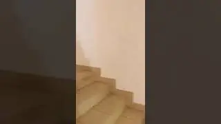 путь в шоу-руму Мангазея, Москва