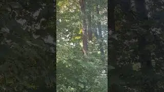 Alarm 🚨 🚨
