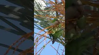 Обед по расписанию