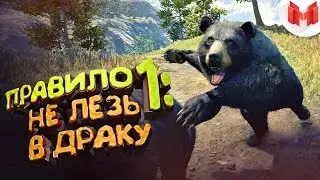 Far Cry 4 