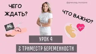 ВТОРОЙ ТРИМЕСТР БЕРЕМЕННОСТИ. Обследование и ведение. Что важно знать.