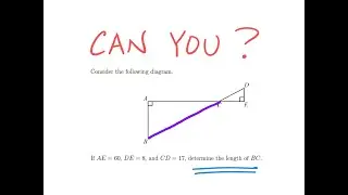 Math Contest / Find the Length in Purple / Entry Level