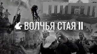 ВОЛЧЬЯ СТАЯ 2 | DOCUMENTARY