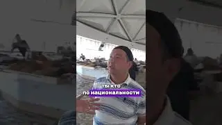 СПРОСИЛ ТАДЖИКА О ЕГО НАЦИОНАЛЬНОСТИ #юмор #shorts #таджики  #ташкент  #узбекистан #таджикистан