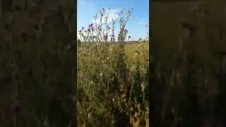 С братом катаемся на скутере