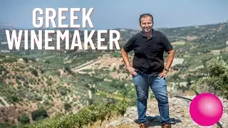 Making WINE In Greece - Discovering New Wine! 🍇🇬🇷🍷#wine #winelover
