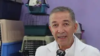 Ventajas de adoptar un animalito adulto mayor