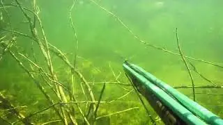 #Pesca