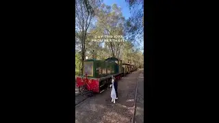 Full steam ahead - all the scenery, steam & sweet nostalgia! 🚂🌲✨📍 