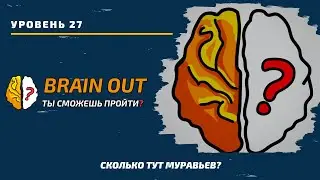 Сколько тут муравьев? 27 уровень игры Brain Out