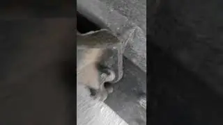 газель, замена подрессорника в дороге .......