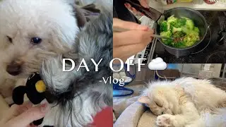 【Vlog】おやすみの日の日常🏡 ペットのいる生活,自炊,猫カフェ