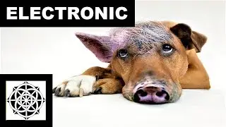 Little Piggy on the Dancefloor (2013) - A. Myrén