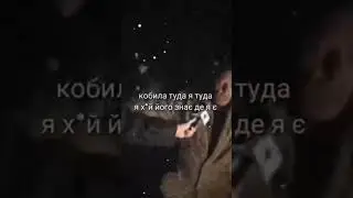 кобила туда