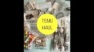 ANOTHER TEMU HAUL