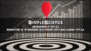 Экономика труда. Понятие и функции научной организации труда.