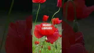 Summer Martin - Summer Lovers (Music Library)  