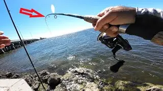 Fishing the North Skyway Bridges!! Surprise Catch