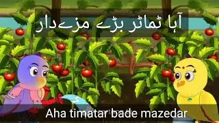 Aha timatar ba bade mazedar by tuni chiriya |  چڑیا نے گایا آہا ٹماٹر بڑے مزے دار | 3A cartoon tv