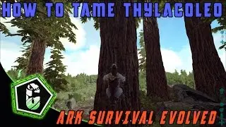 🐅 Ark Survival Evolved - How To Tame Thylacoleo (Pc, Xbox One, Ps4)  🐆