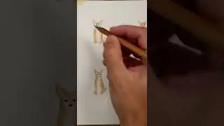 Fare le ombre con l'acquerello #acquerello #tutorial #painting #sketch #arte