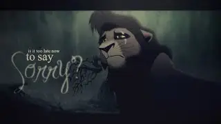 Animash : Sorry [full mep]