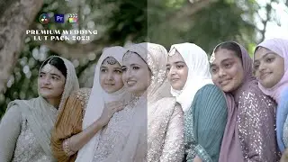 Beautiful Wedding LUTs 2023 | Wedding Filmmakers | Fcp | Davinci | Premiere Pro | Learn 2 Pro