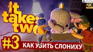 СУМАСШЕДШИЙ ЦИРК ИЛИ 