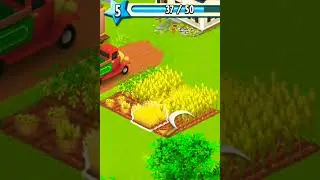 wheat cuting and corn 🌽 cuting .🤗Hay day 