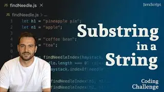 Impress Interviewer - Find Needle In a Haystack JS Problem