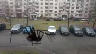 Огромный паук (Монтаж)