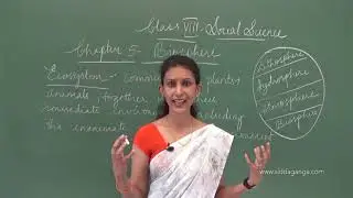 STATE 8 - SOCIAL - BIOSPHERE - PART 1