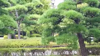 East Gardens of the Imperial Palace Tokyo, August 2018, part 1