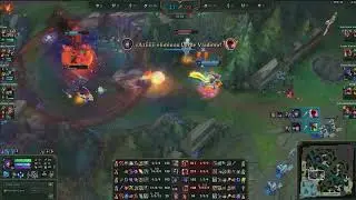 NINGUEM FOGE DA RAPOSA!!