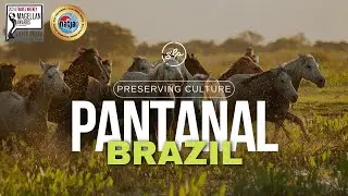 Discover the Pantanal: A Journey Through Brazil's Biodiversity and Culture