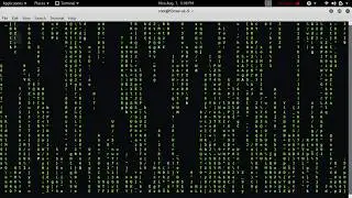 Linux cool command cmatrix