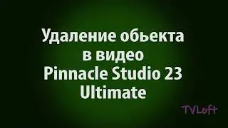 08 Pinnacle Studio 23 Removing Objects. (Masks Part 2)
