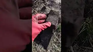 коп на МТФ