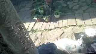 жызнь в деревни 2. баня и летняя кухня